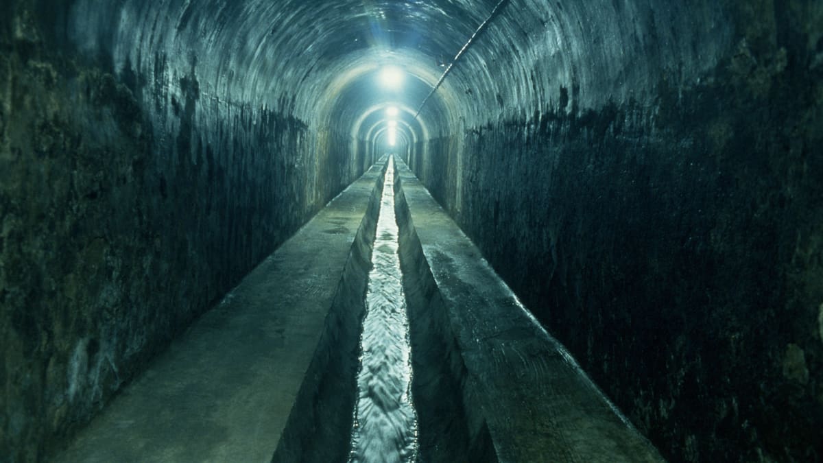 El misterio del bicho de Sabadell, el monstruo de las cloacas que aterrorizó a toda una ciudad