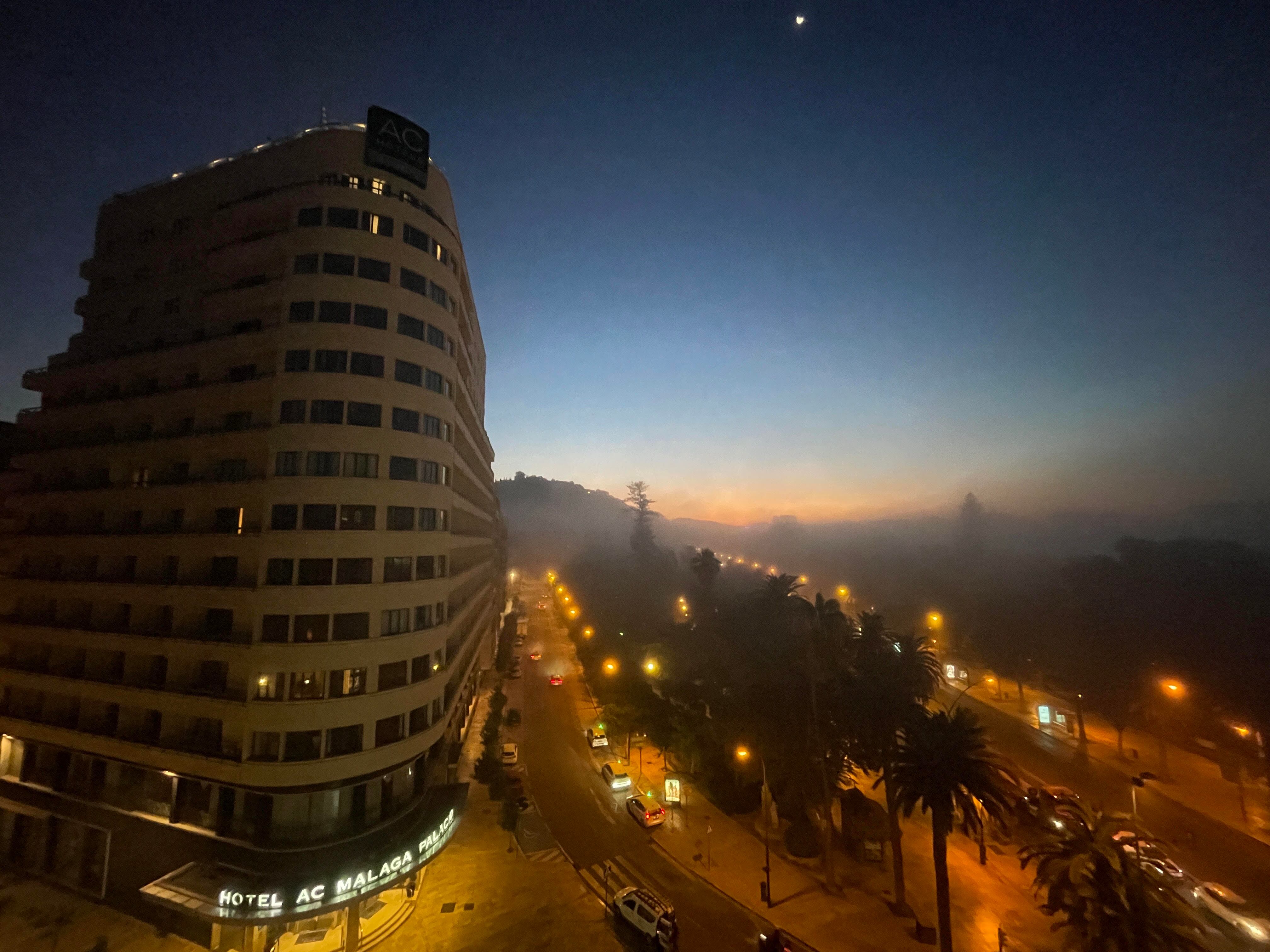 El taró cubriendo el Paseo del Parque de Málaga este lunes