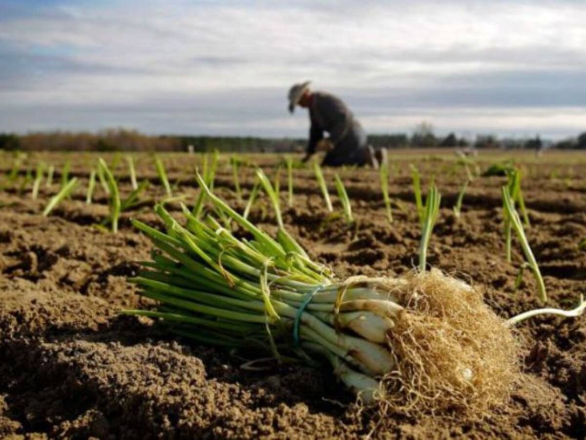 Unió de Pagesos de Menorca elige nuevo secretario general