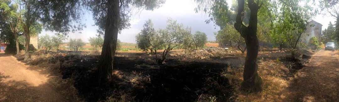 Imagen de cómo quedó el terreno tras uno de los incendios