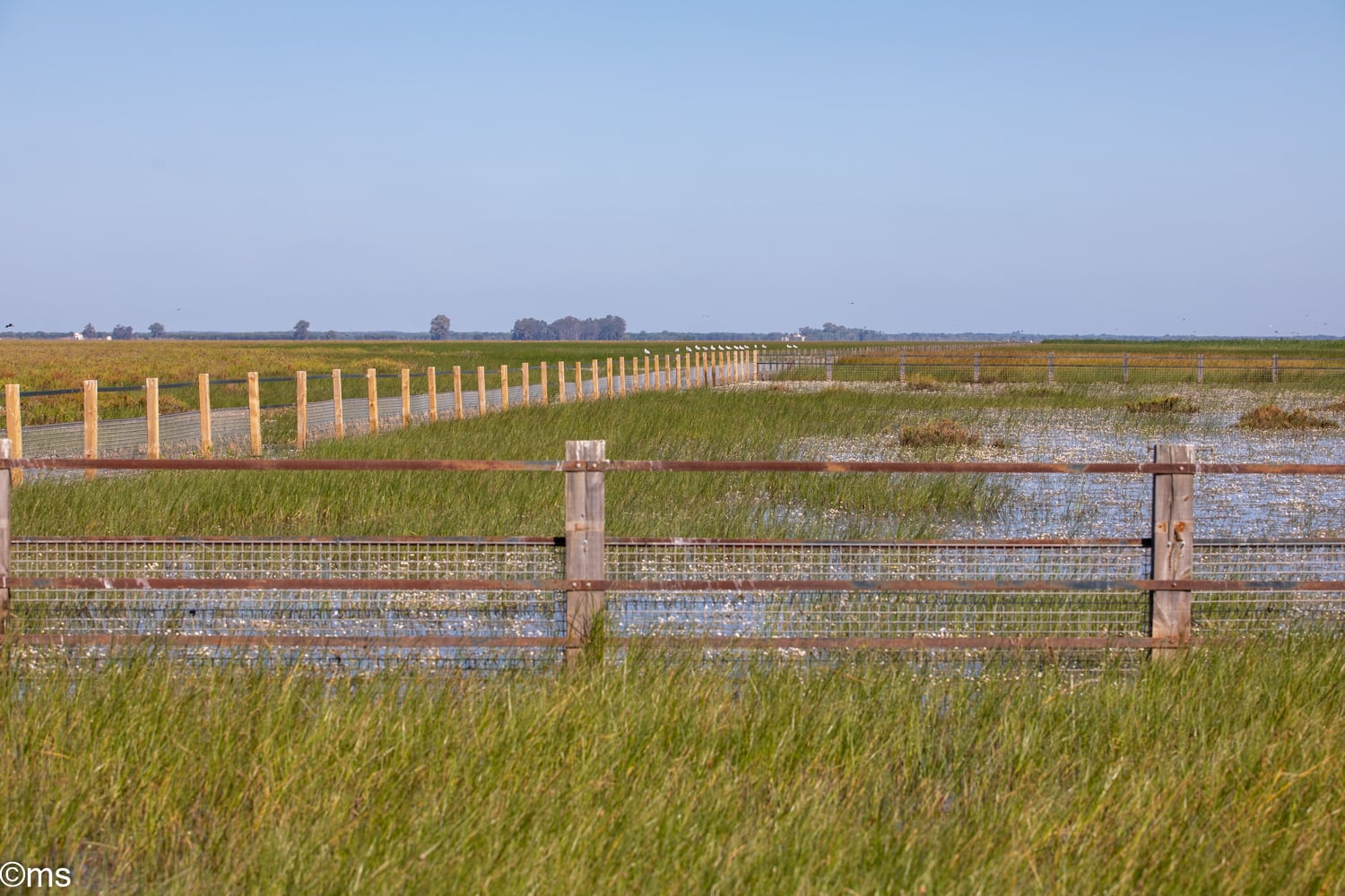 Espacio Natural de Doñana (mayo de 2025)