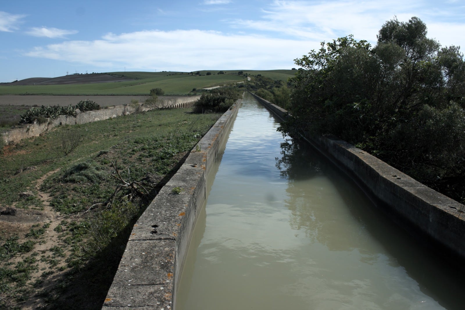 Un "paseíto" por la Vega de Zarandilla y Las Pachecas