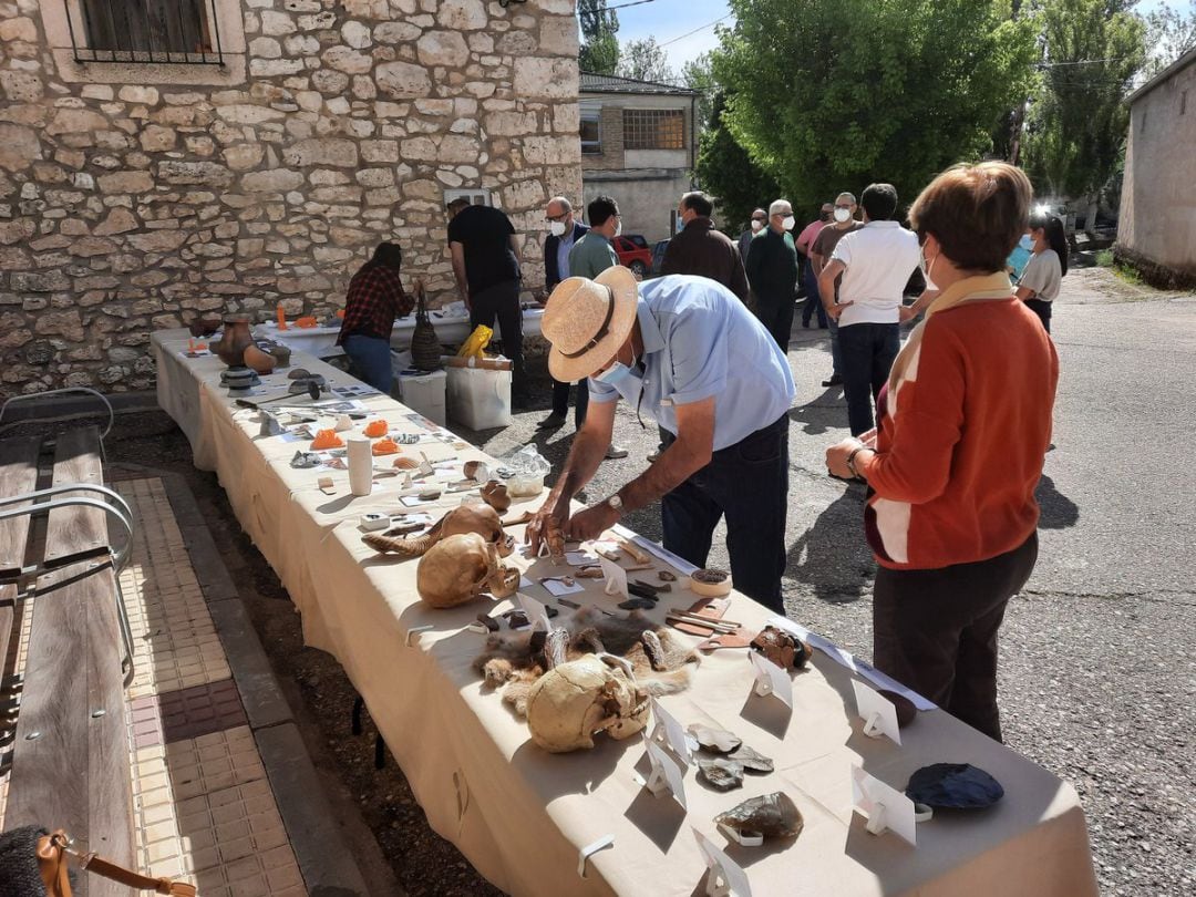 Tras muchos años de investigación y excavaciones, se han descubierto grandes hallazgos en La Sequera