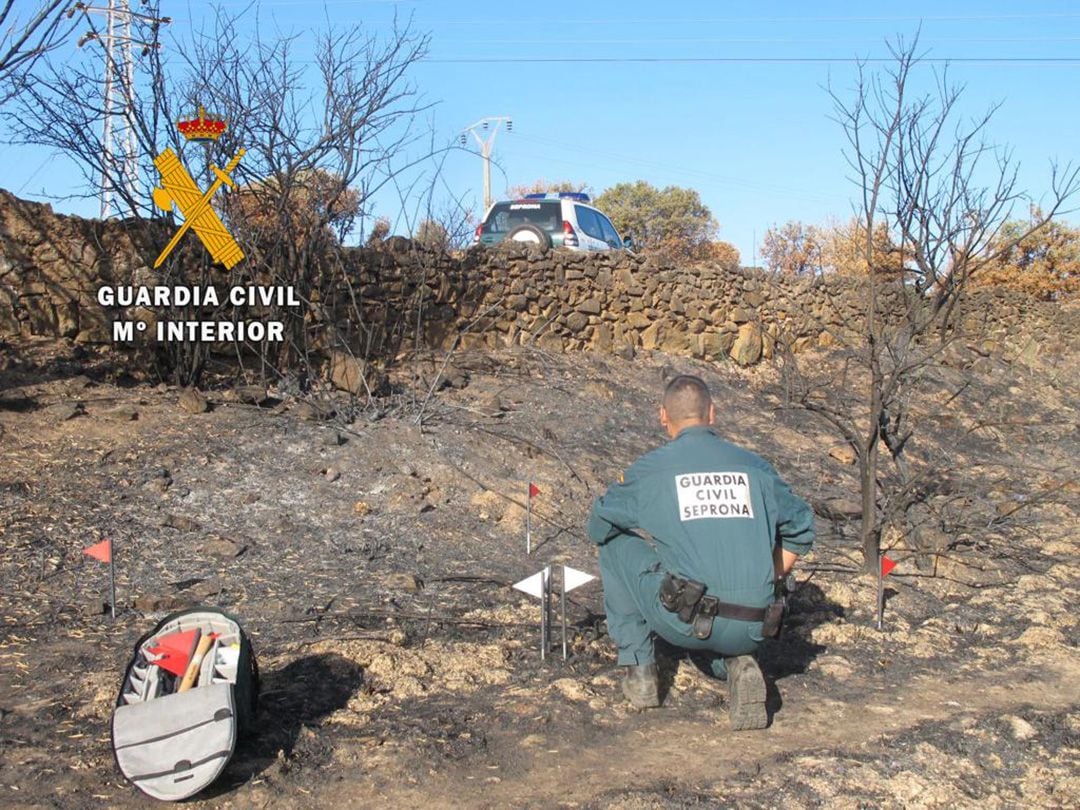 Agentes del Seprona analiza la zona de origen del incendio