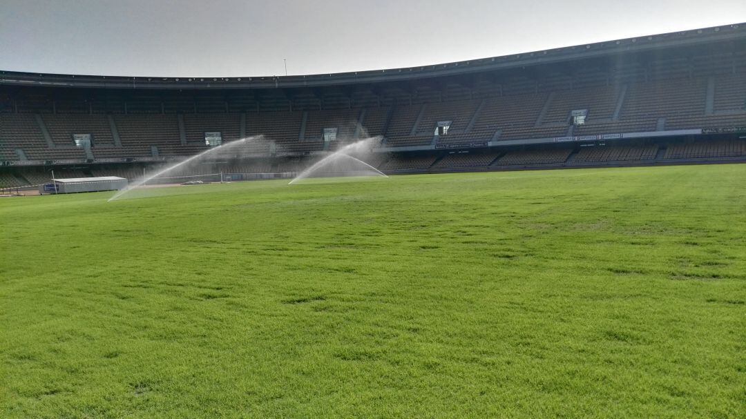 Campo del estadio municipal de Chapín tras los trabajos realizados estas semanas 