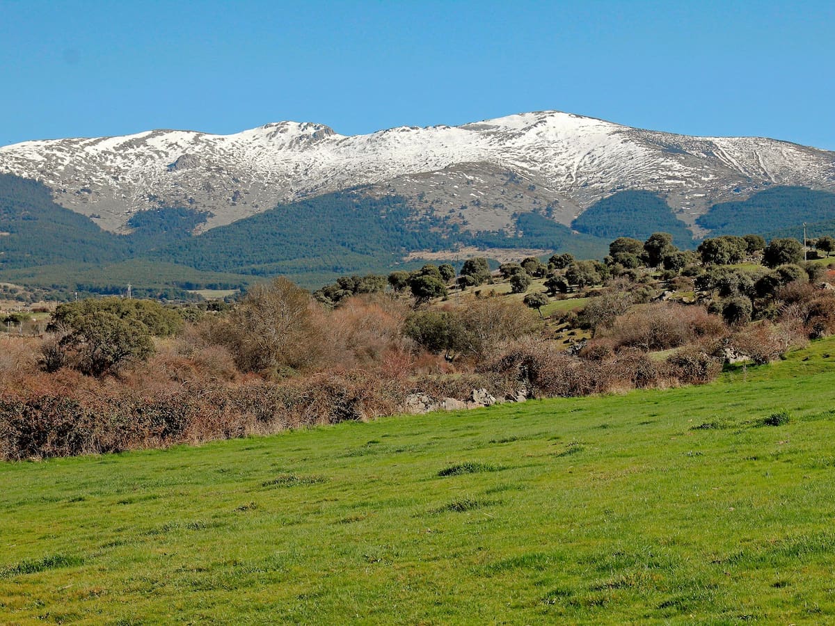 ASAJA Segovia pide reducir las tasas de pastos para impulsar la ganadería extensiva