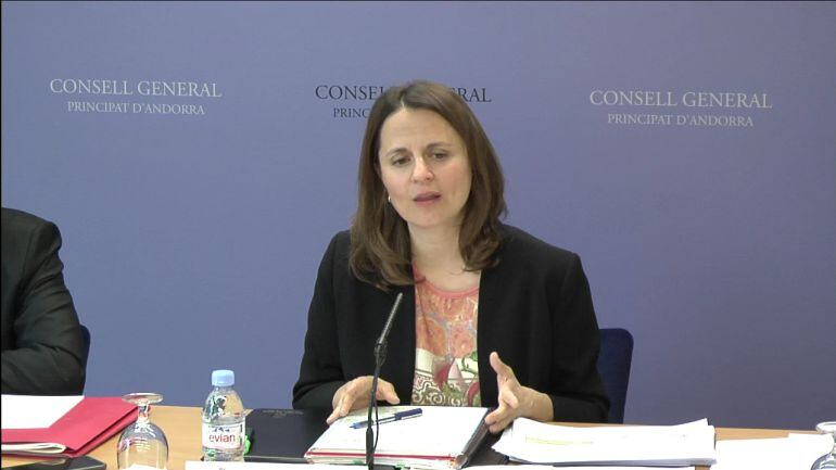 La consellera general del PS, Rosa Gili, presentant les esmenes que el seu grup ha introduït al projecte de llei de Codi de Relacions Laborals.