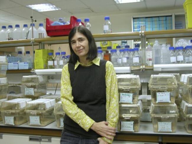 María Blasco, directora del CNIO