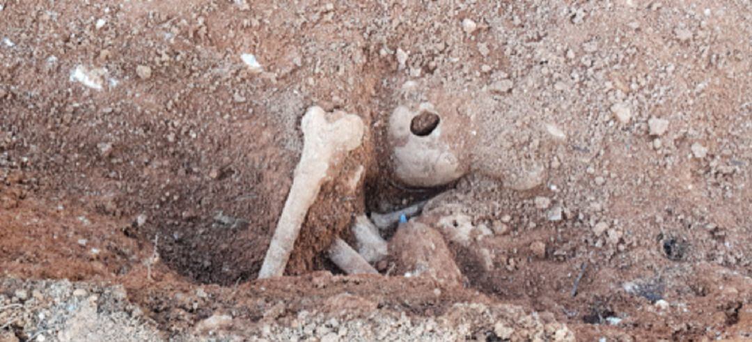 Imagen de los restos óseos encontrados en el cementerio Viejo