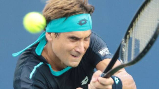 Ferrer golpea un revés