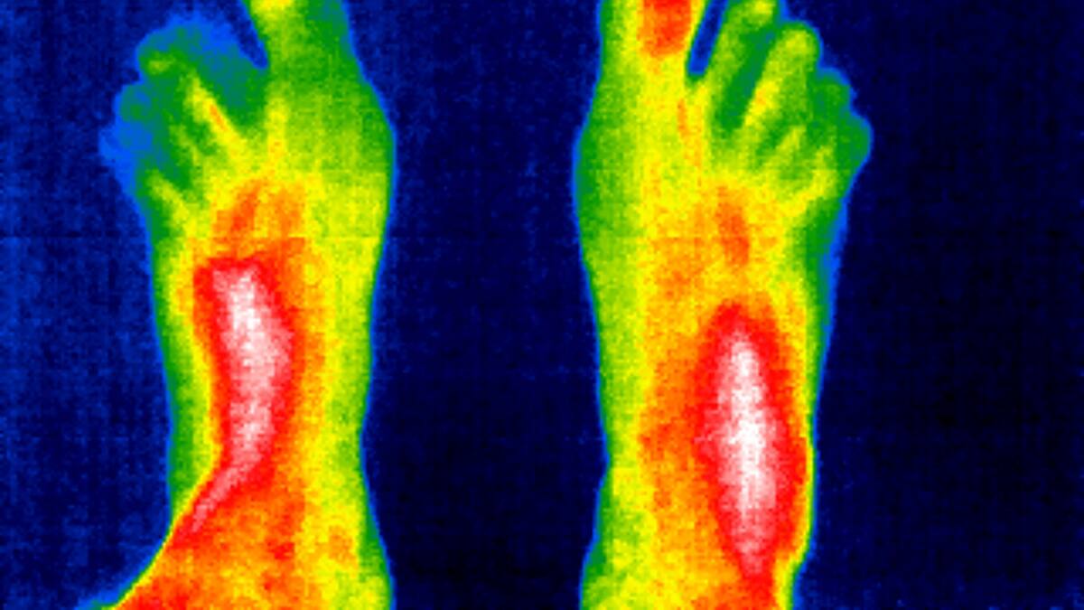 El termómetro interno que nos mantiene con vida