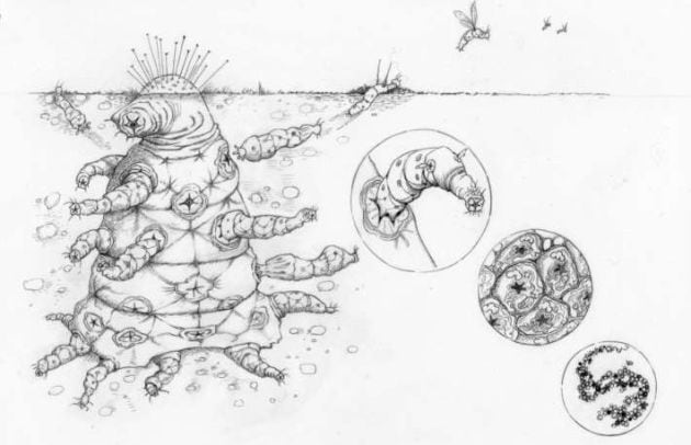 Las formas de vida extraterrestres, según la universidad de Oxford.