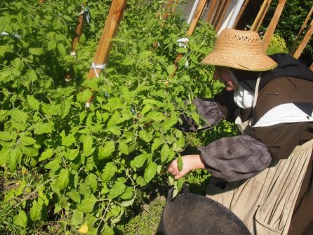 En el monasterio cultivan la huerta y están experimentando con productos ecológicos