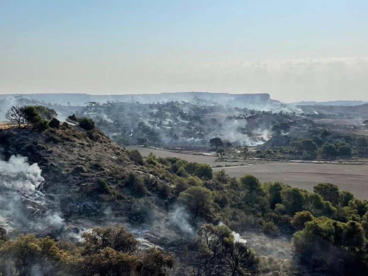 Incendio en el Vedado de Eguaras en las Bardenas Reales