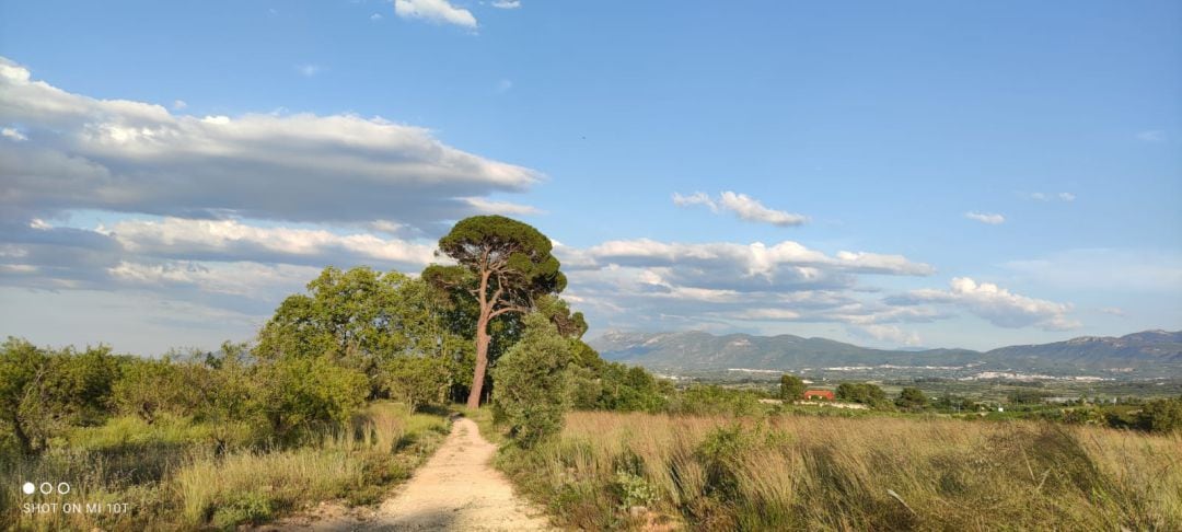 La zona de Cairent que volen defensar