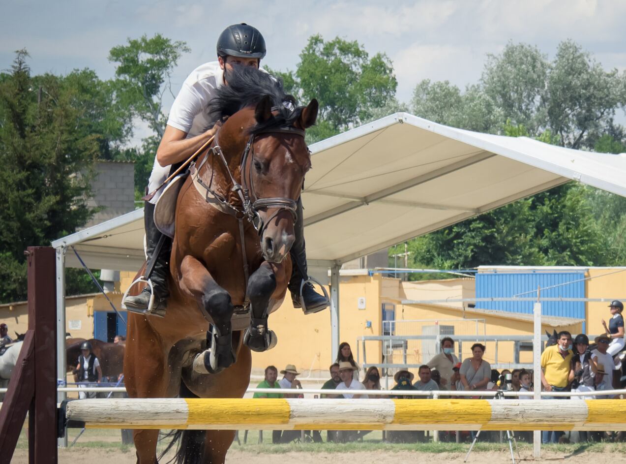 Alaior podrà gaudir dels salts d'obstacles aquest cap de setmana.