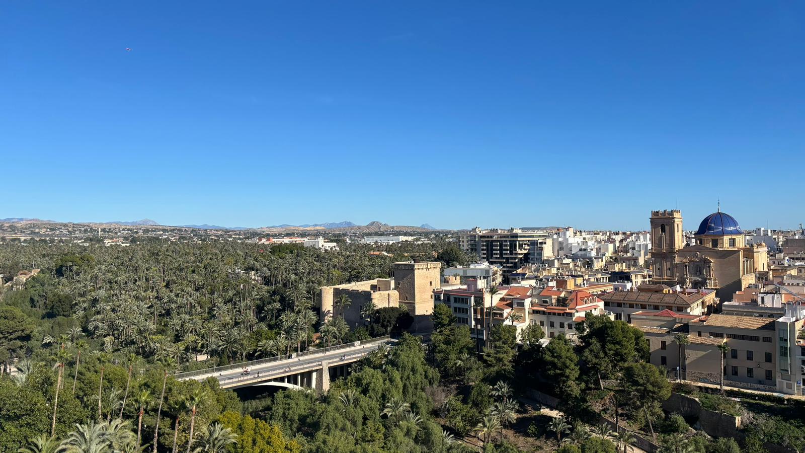 Vista del Palmeral y la ciudad de Elche