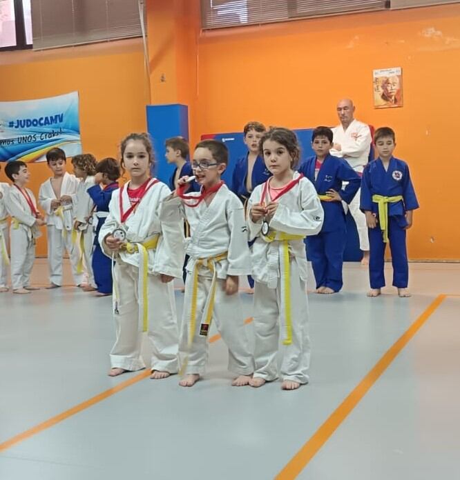 Judo Camv Villena