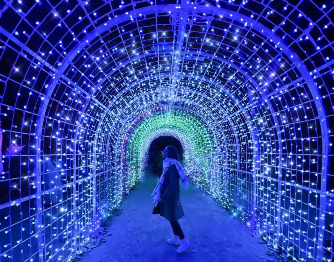 Imagen del espectáculo de luces y sonido en el jardín botánico de la Concepción (Málaga)