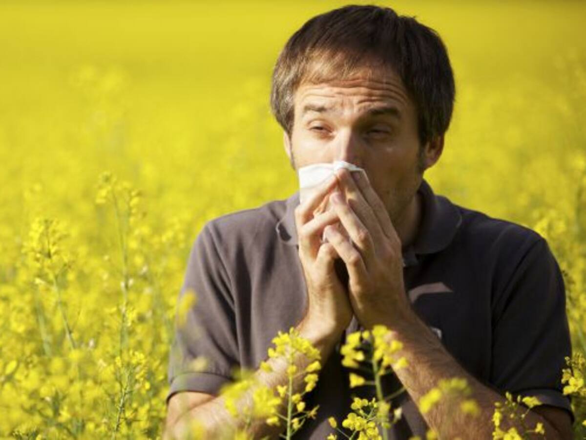 Preparados, listos... ¡llegan las alergias!