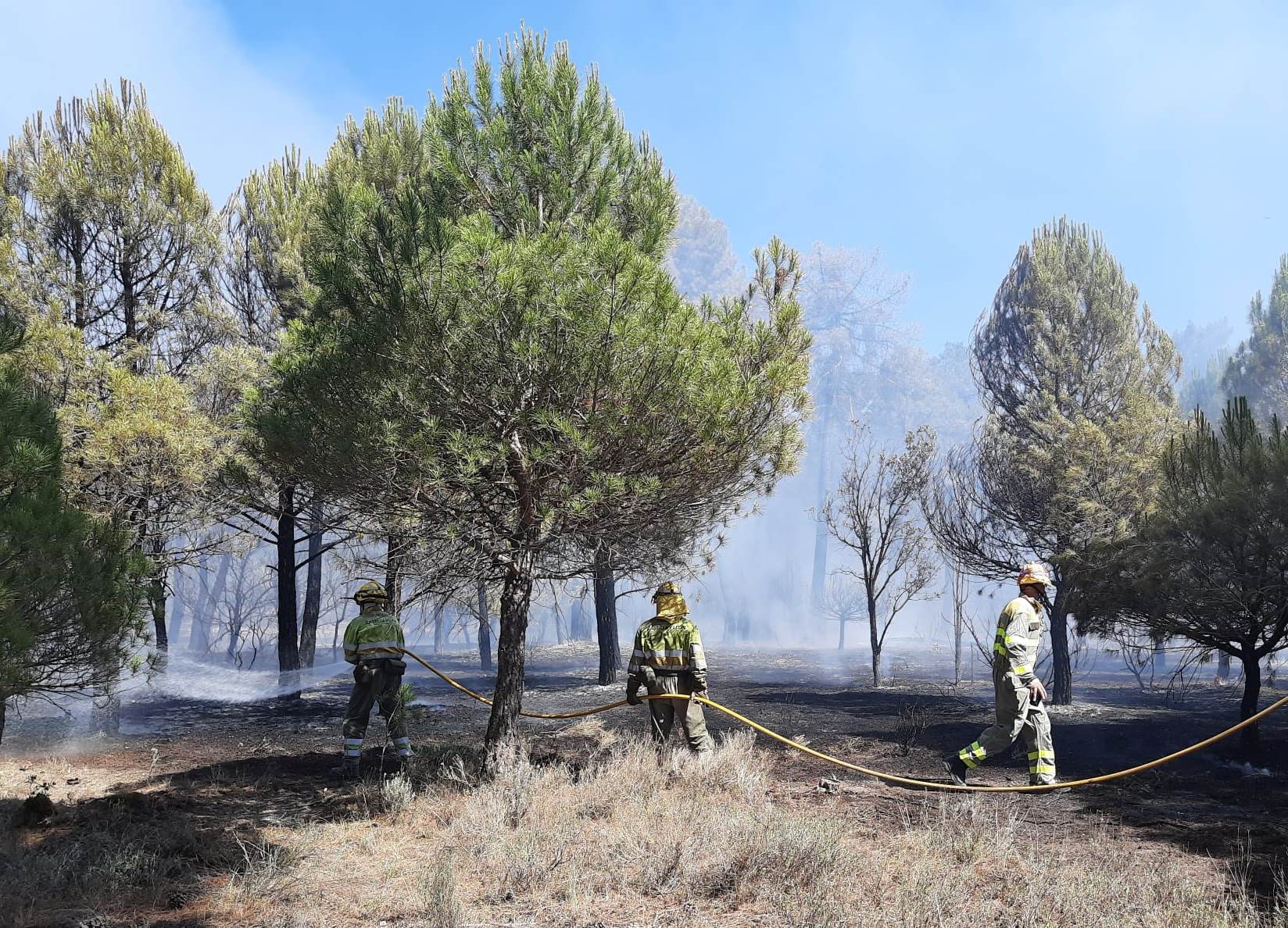 Bomberos forestales actúan en el incendio en la carretera de El Henar a dos kilómetros de Cuéllar