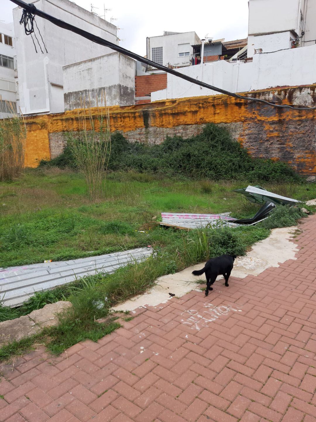 Solar abandonado en el Grau de Gandia