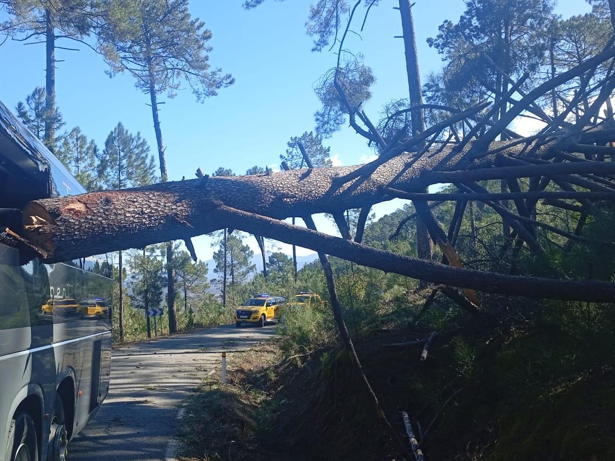 Casi 24 millones de euros: el impacto que han tenido en Ávila las borrascas
