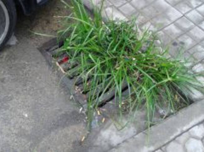 Alcantarillado en El Saladillo