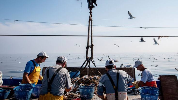 Luis García, secretario de COINCOPESCA, en Hoy por Hoy Alicante