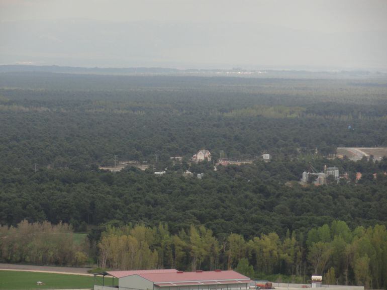 Masa forestal de Cuéllar vista desde Las Lomas