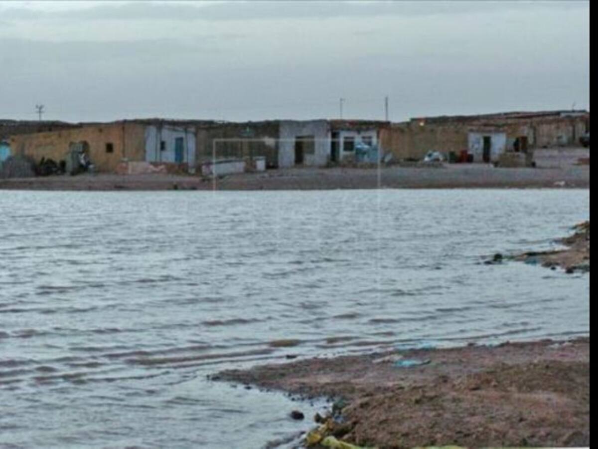 Albacete aporta su granito de arena para ayudar a la población saharaui