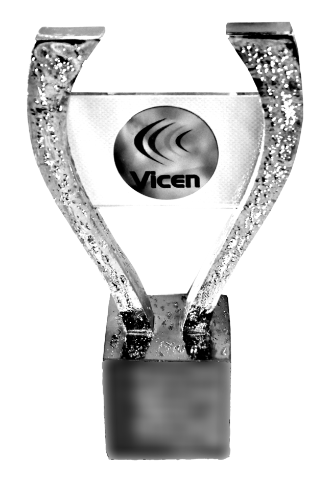 Trofeo Vicen Muñoz a la MVP de la máxima categoría de balonmano femenino