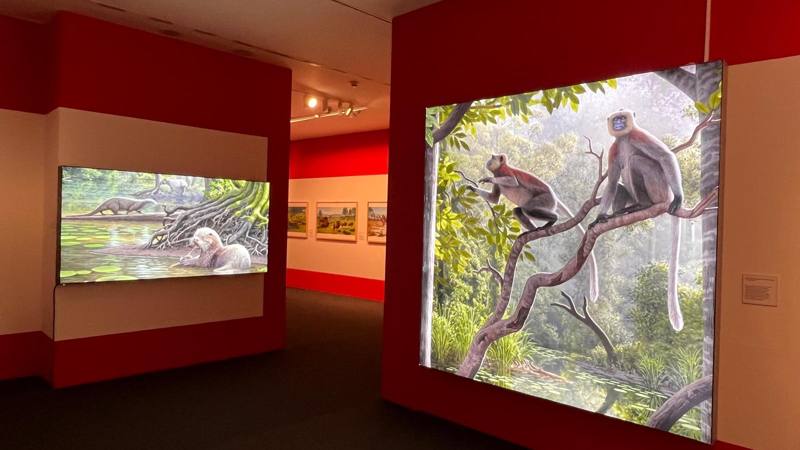 El Museo de la Evolución Humana acoge la exposición del artista Mauricio Antón 'Arte y Paleontología'