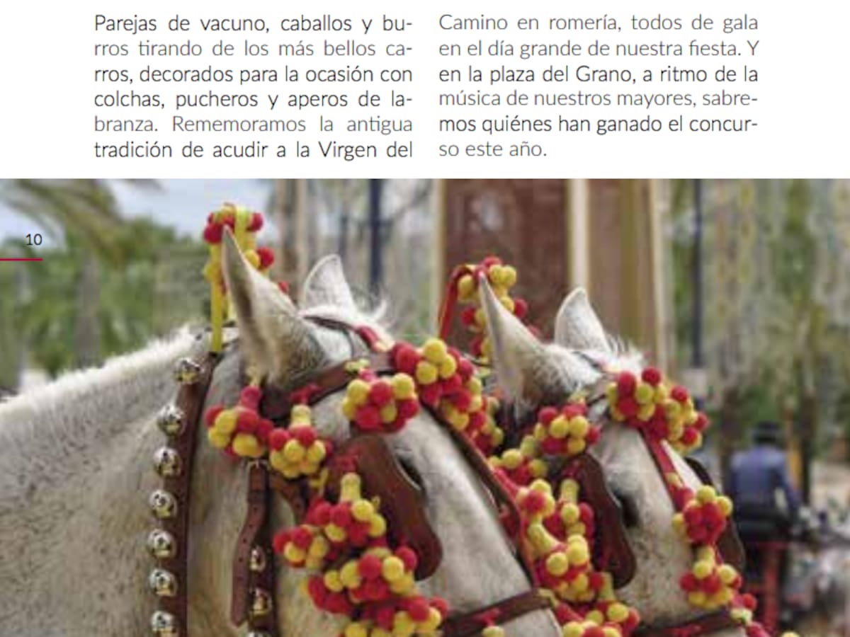 Caballos de feria andaluces para ilustrar los carros engalanados