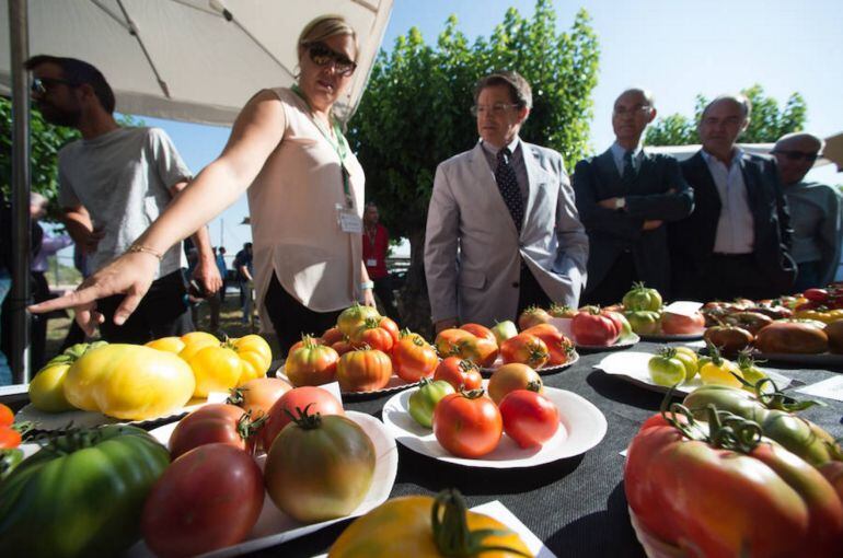 Degustación de las más de 200 variedades tradicionales de tomate que se conservan en el banco de germoplasma del Instituto Murciano de Investigación y Desarrollo Agrario y Alimentario