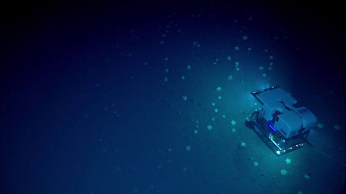 Nit de la recerca 2023 a Menorca