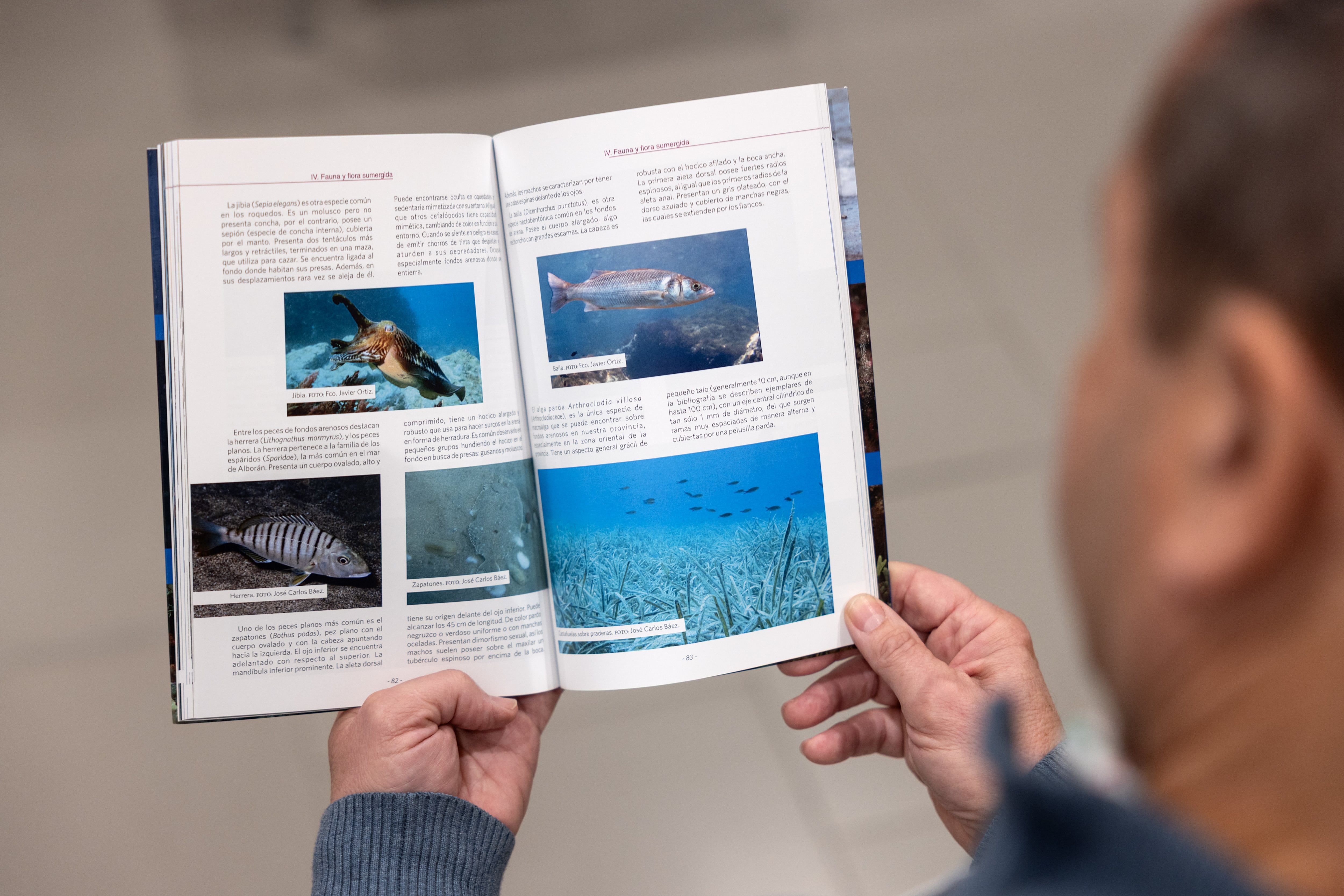 La publicación arranca con una introducción sobre el litoral de la provincia de Málaga, analizando su situación geográfica, geomorfología, demografía, climatología, oceanografía y ecología.