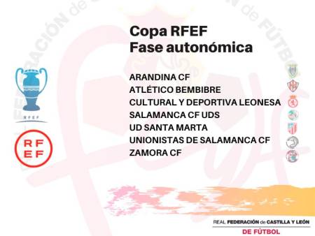 Fase Autonómica de CyL de la Copa Federación