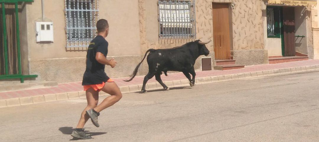 Momento del encierro del sábado en Alcadozo (Albacete)