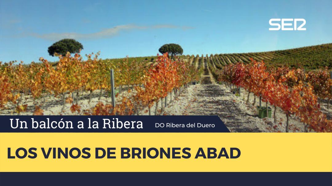 Briones Abad