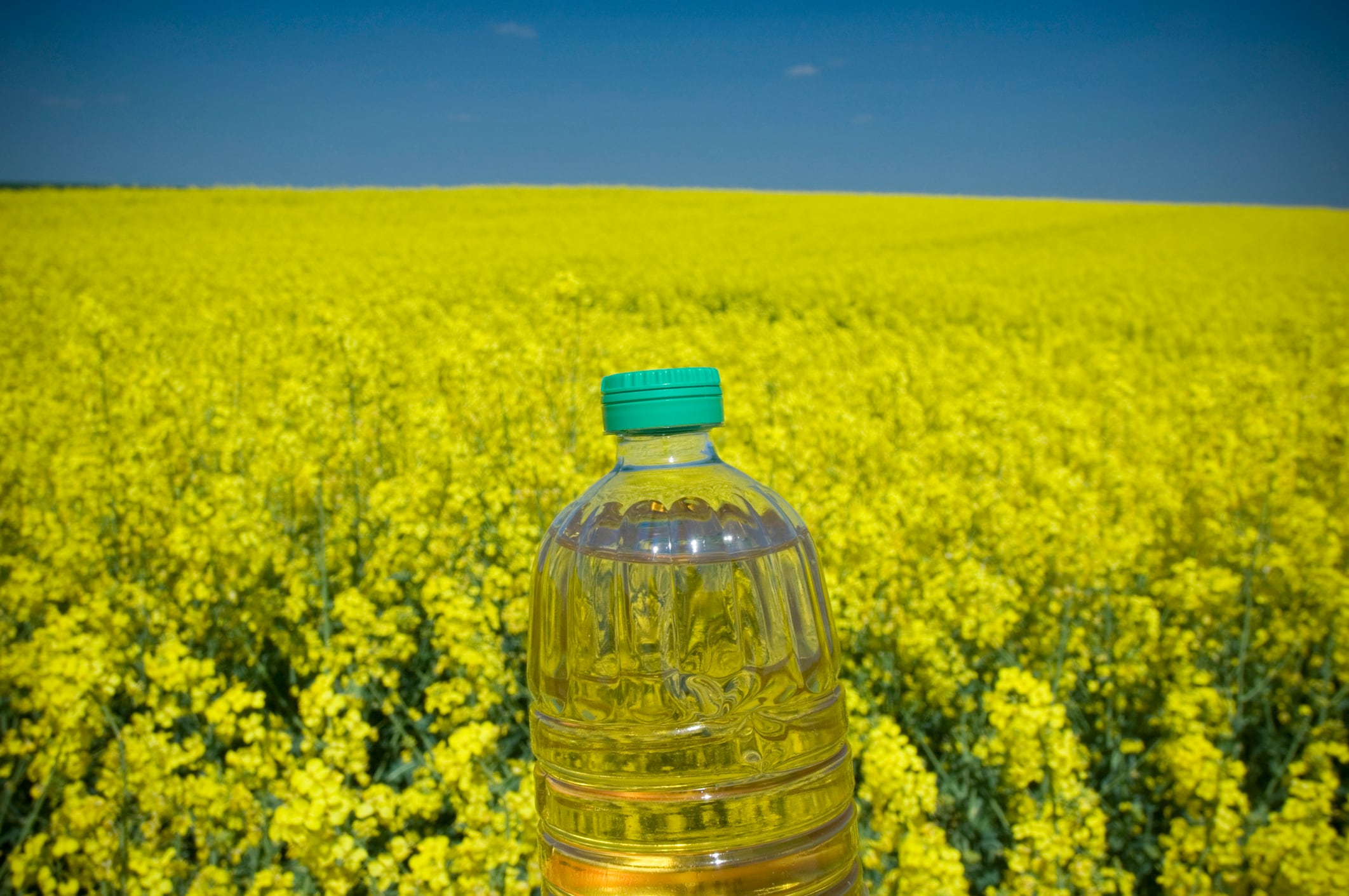 Aceite de colza.