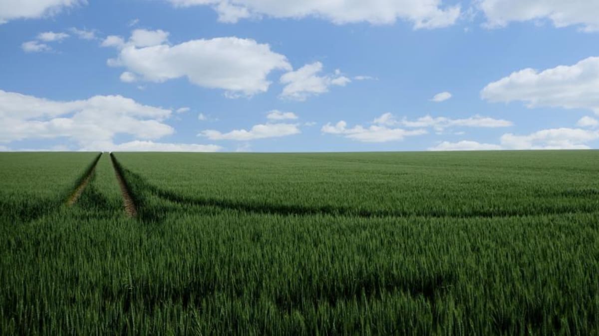 El Gobierno de Aragón abona a los agricultores aragoneses 121 millones de euros de ayudas de la PAC