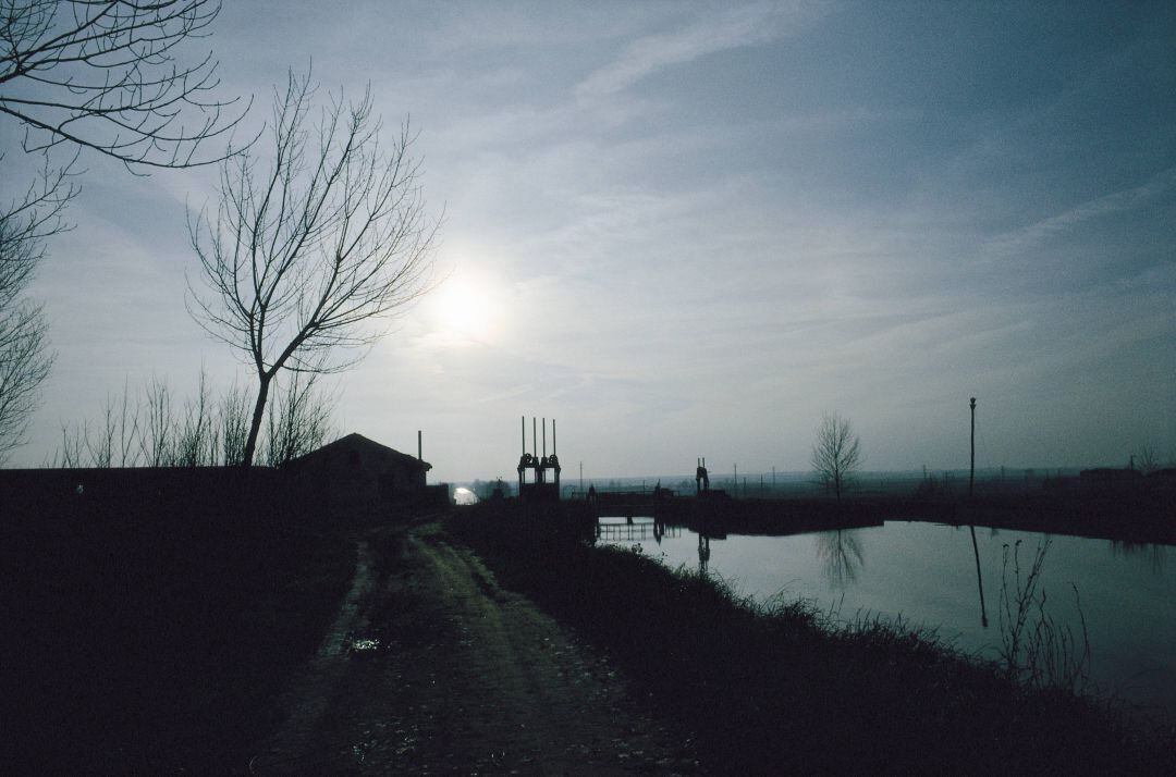 Canal de Castilla a su paso por Frómista