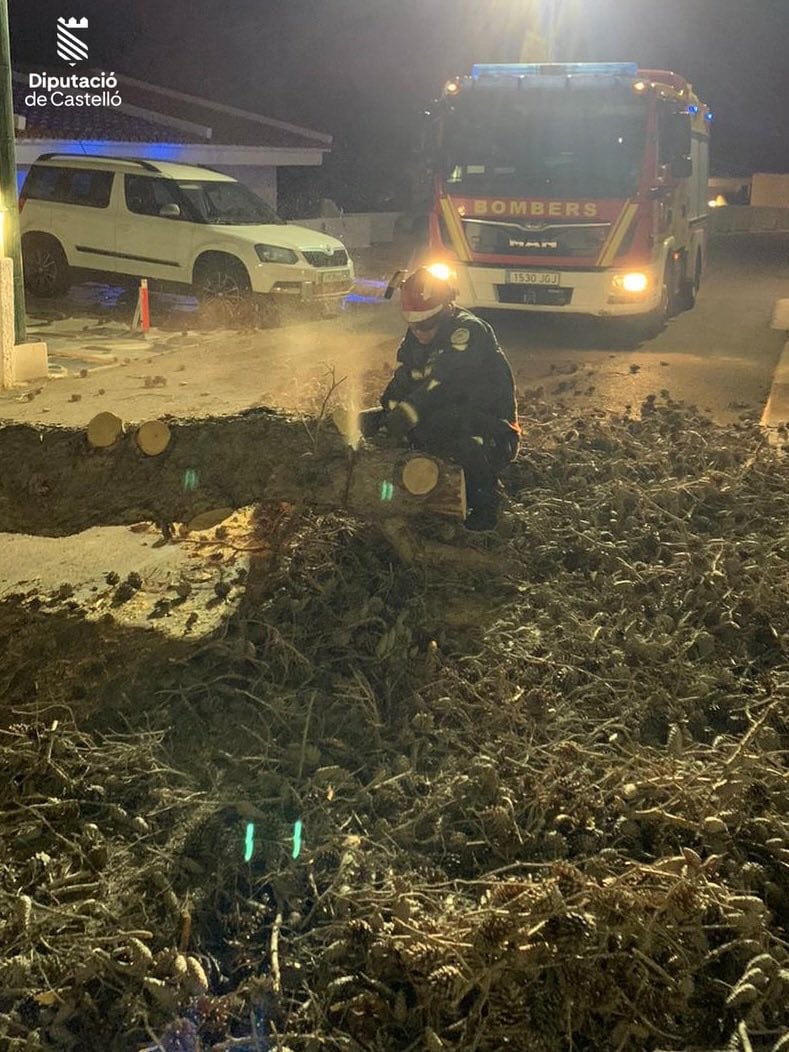 El Consorcio Provincial de Bomberos interviniendo en la caída de un árbol durante la pasada madrugada.