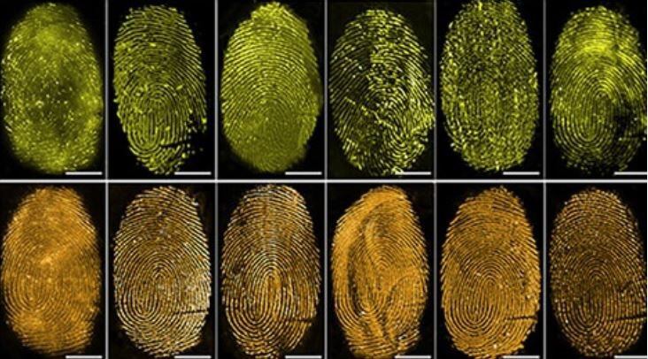 Los investigadores han fabricado dos aerosoles de diferentes colores que detectan huellas dactilares en una variedad de superficies diferentes.