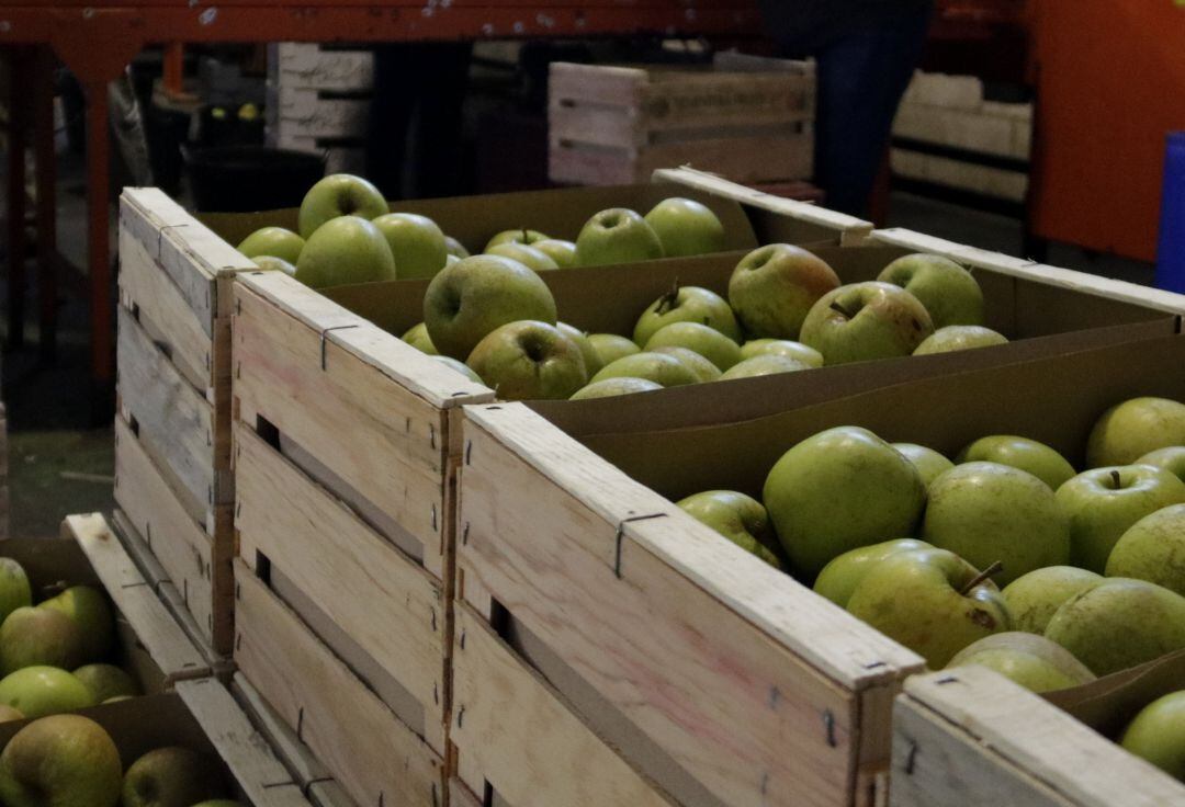 Central Fruitera (arxiu)