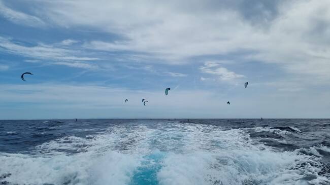 Els participants van sortir amb bon vent de Menorca però es van quedar sense impuls a cinc milles de Mallorca quan aquest va amaïnar.