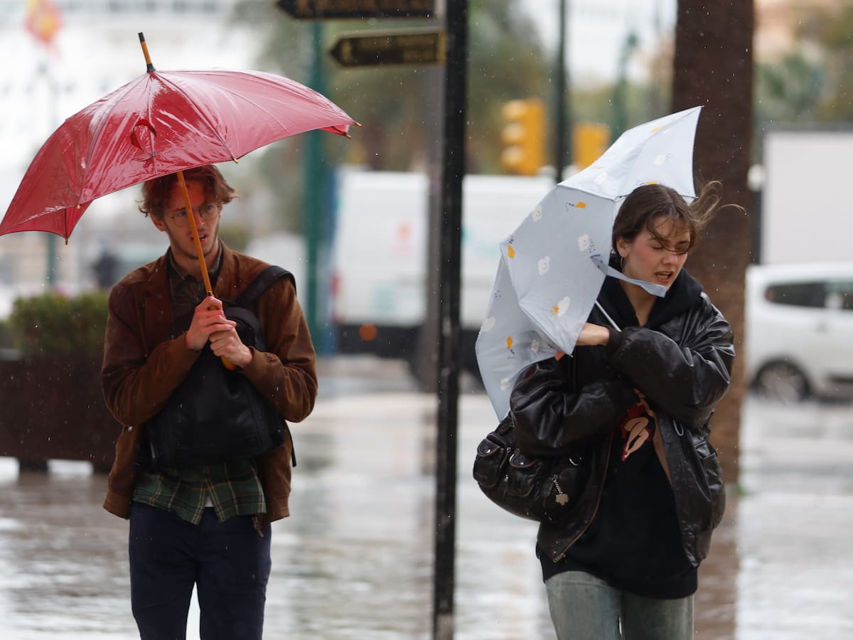 Las clases serán telemáticas en Andalucía y las universidades decidirán si seguirán siendo presenciales por la borrasca Leonardo