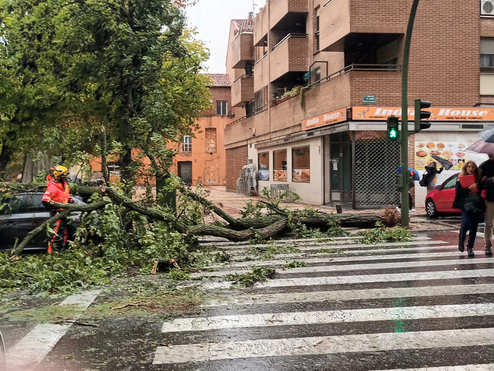 Árbol caído en la calle Cardenal González de Mendoza