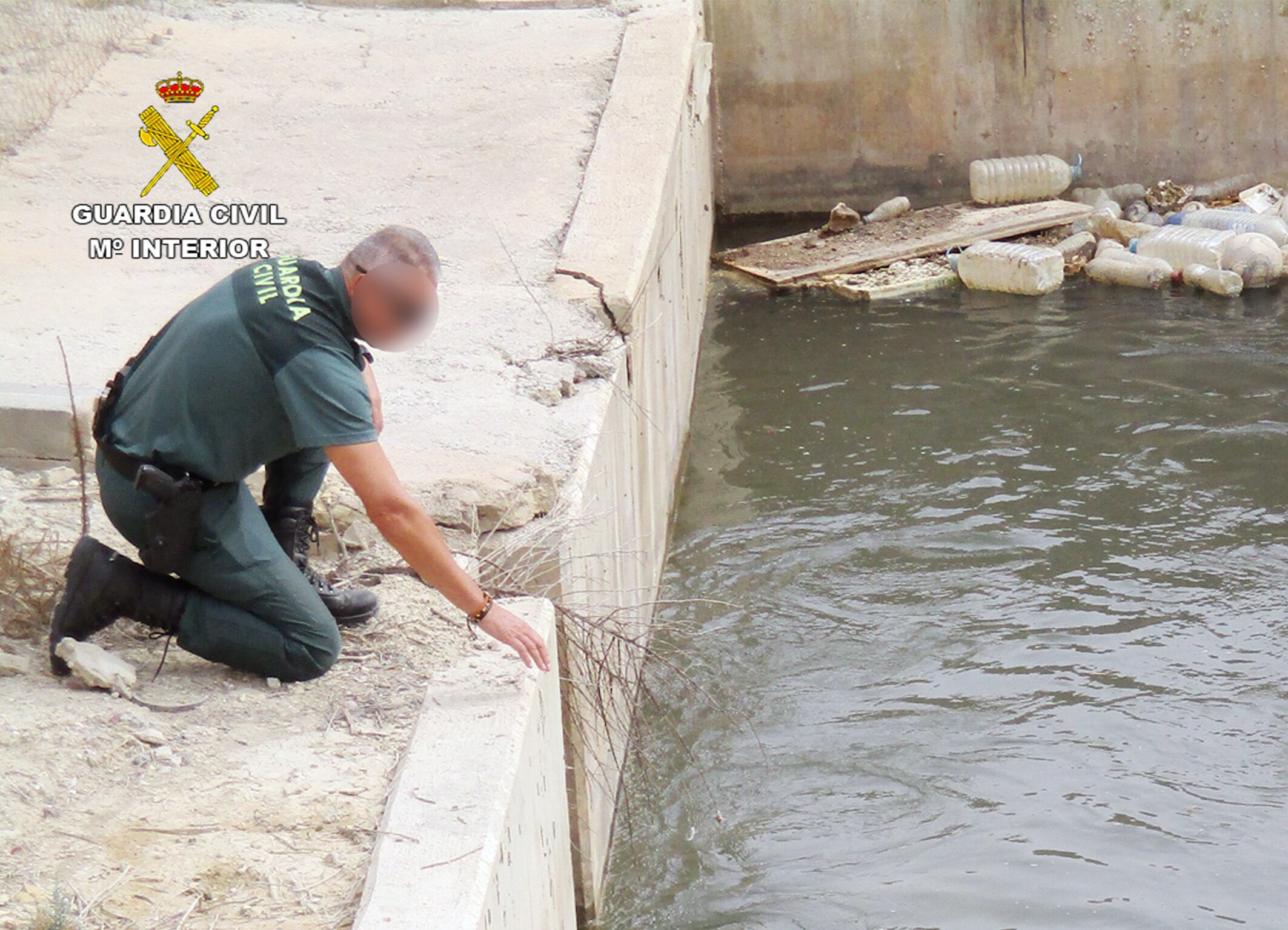 Agente del SEPRONA ayudando al animal
